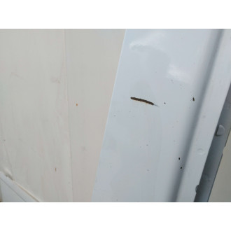 porte av D RENAULT Master / Mascott 03/10