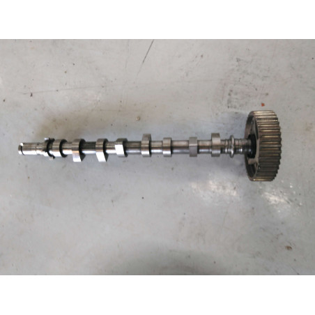 arbre a cam Kangoo II  Ref : 