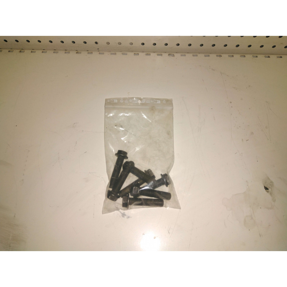 vise de vilebrequin IVECO 2,3l HPI  Ref : 502295005